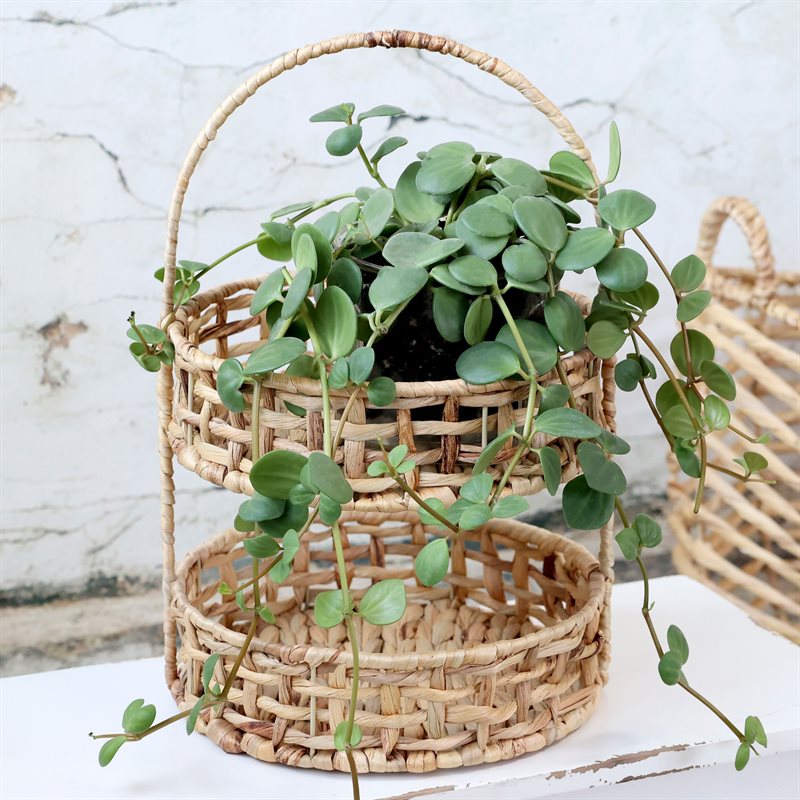 Naturlig Opsats m. 2 kurve