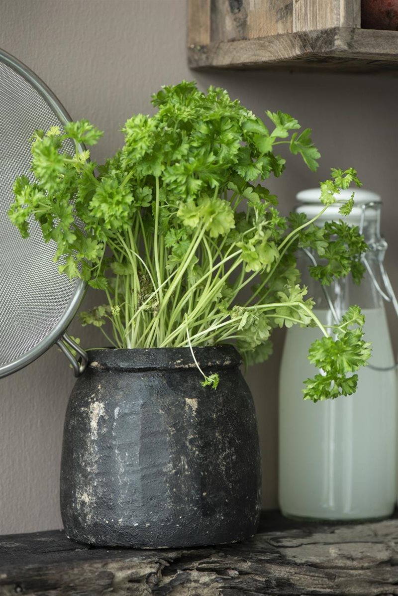Stenkrukke UNIKA varierende størrelser