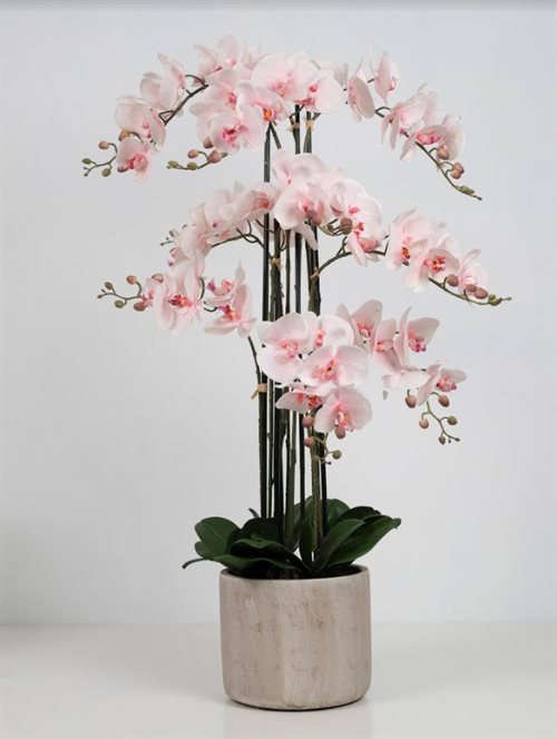 Orkide, Kunstig med 9 stilke
