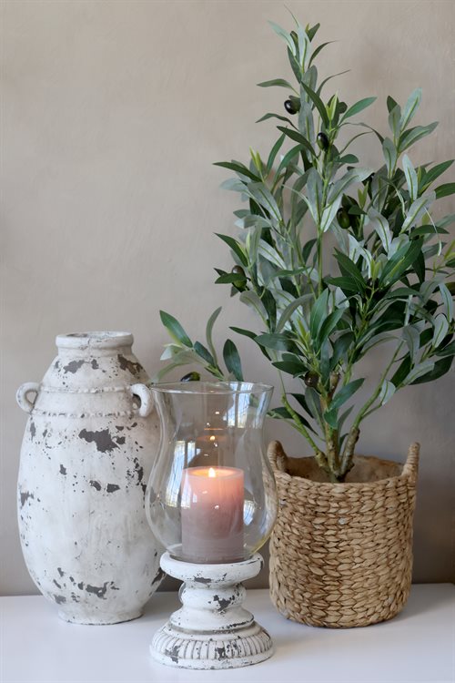 Fleur Oliventræ - H: 73cm